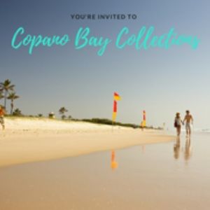 Meet your Posher, Art